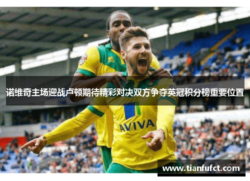 诺维奇主场迎战卢顿期待精彩对决双方争夺英冠积分榜重要位置