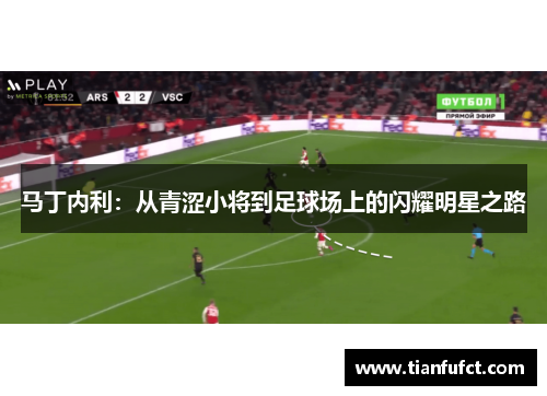 马丁内利：从青涩小将到足球场上的闪耀明星之路